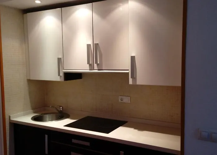 公寓 Estudio En Zona Baja Y Garaje Opcional 塞拉内华达